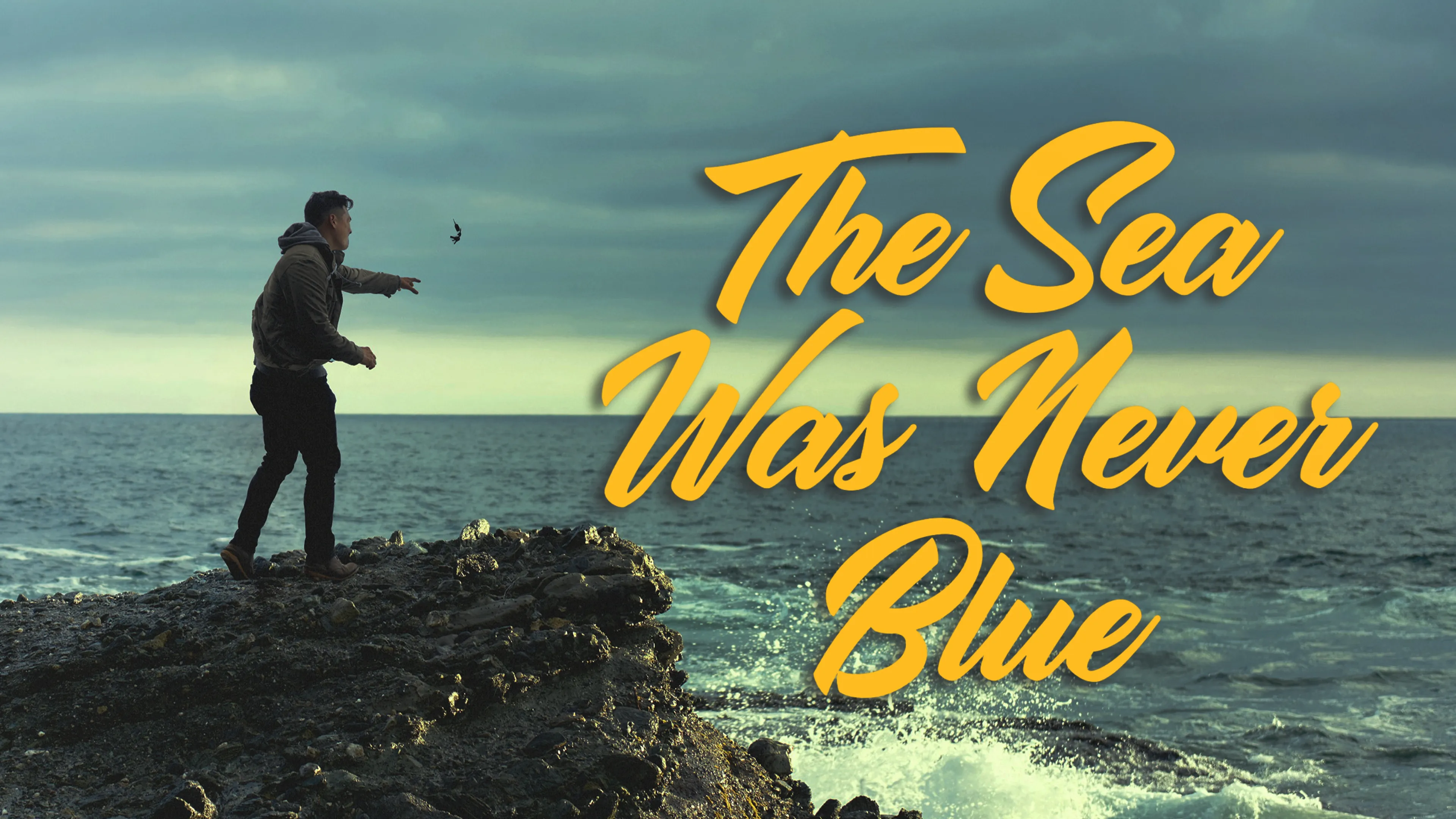 The Sea Was Never Blue poster